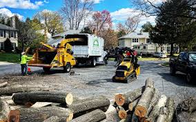 Best Arborist Consultation Services  in Woodstock, GA